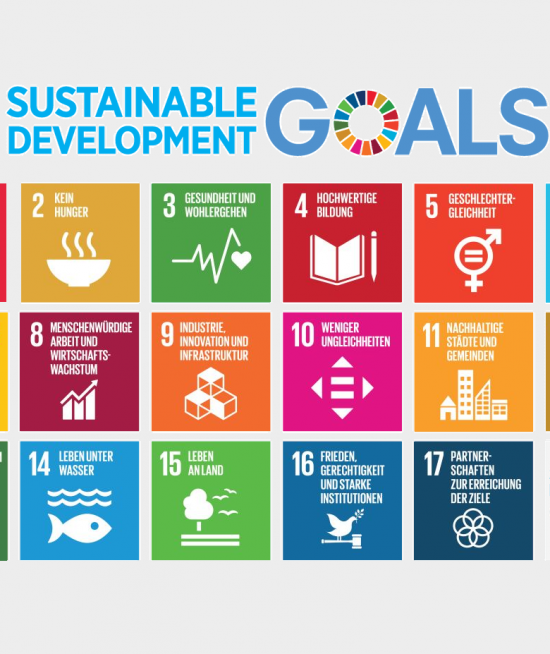 SDGs