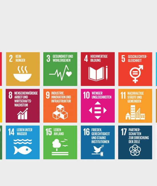 SDGs